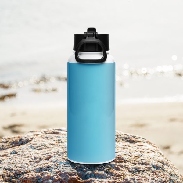 Stainless steel water bottle with a straw lid DD.D